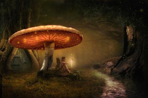 Faries Under A Mushroom jigsaw puzzle